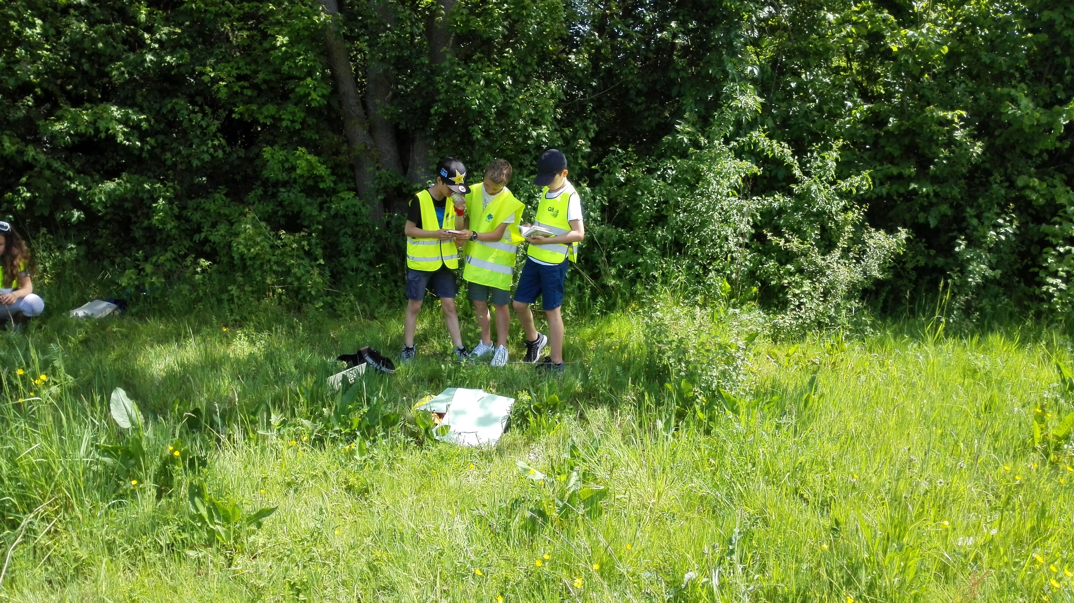 Het vierde leerjaar op onderzoek in de berm!